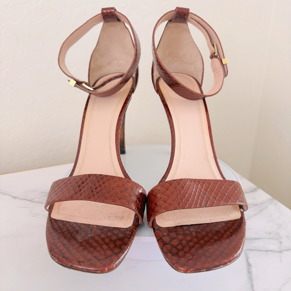 Authentic Celine Embossed Python Brown / Burgandy… - image 2